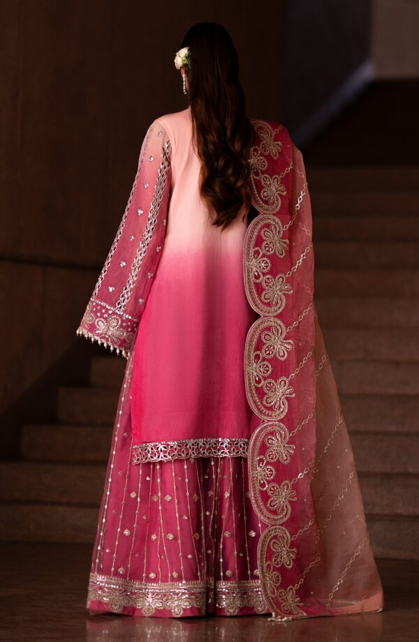 Emaan Adeel Auset Casabella Embroidered Organza