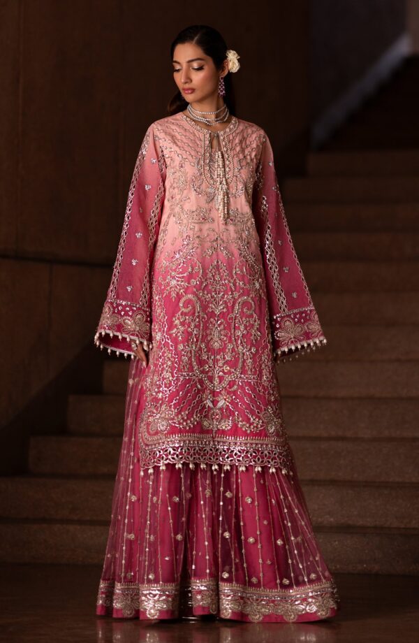 Emaan Adeel Auset Casabella Embroidered Organza