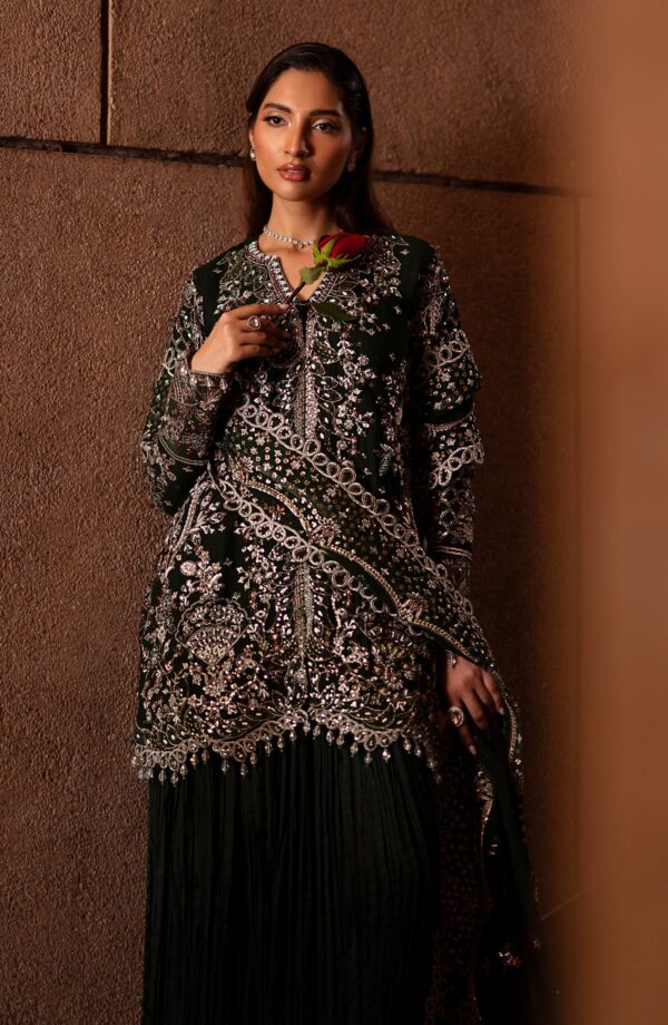 Emaan Adeel Arista Casabella Embroidered Chiffon