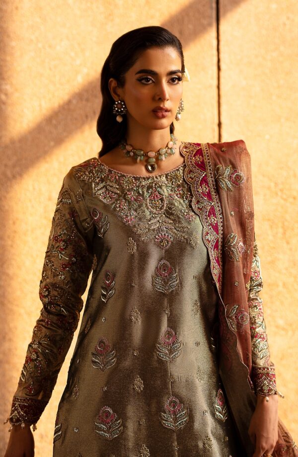 Emaan Adeel Felisa Casabella Embroidered Mesoury