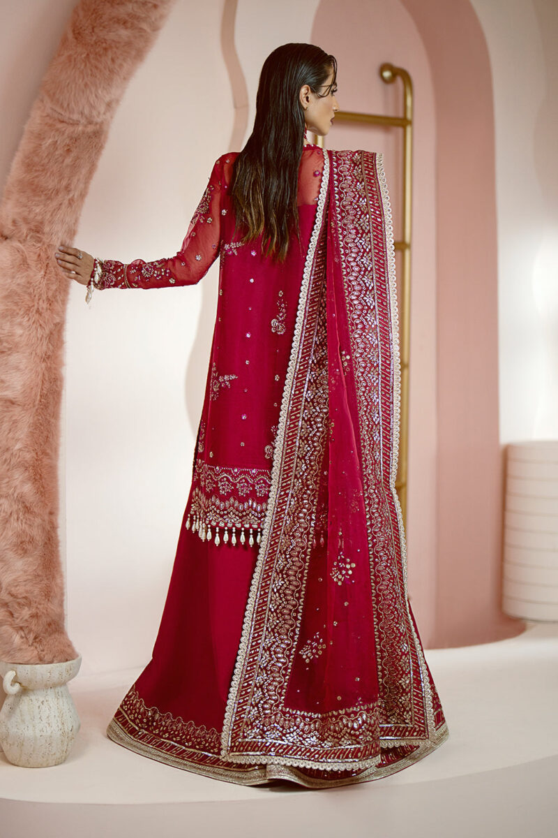 Ayzel Awf-03 Ruby Luminara Embroidered Organza