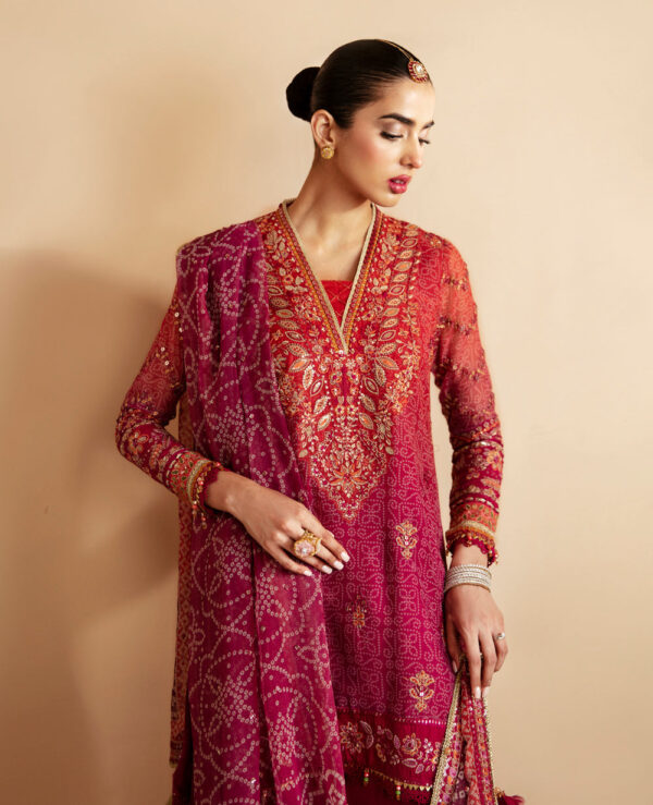 Xenia Rul-24-01 Arisa Raahi Embroidered Chiffon