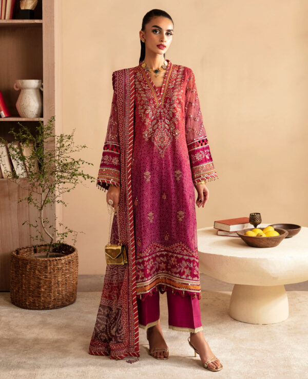 Xenia Rul-24-01 Arisa Raahi Embroidered Chiffon