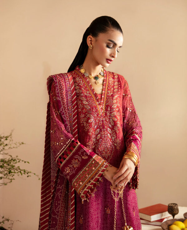 Xenia Rul-24-01 Arisa Raahi Embroidered Chiffon