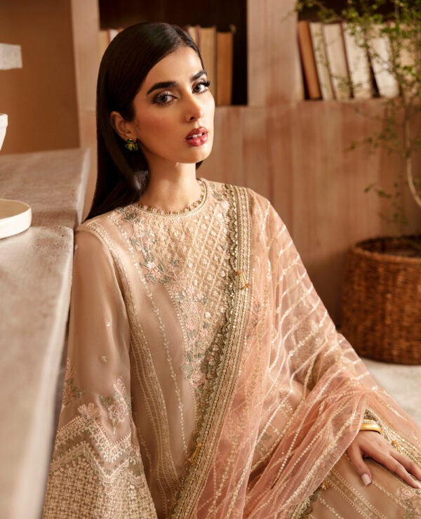 Xenia Rul-24-05 Toyam Raahi Embroidered Chiffon