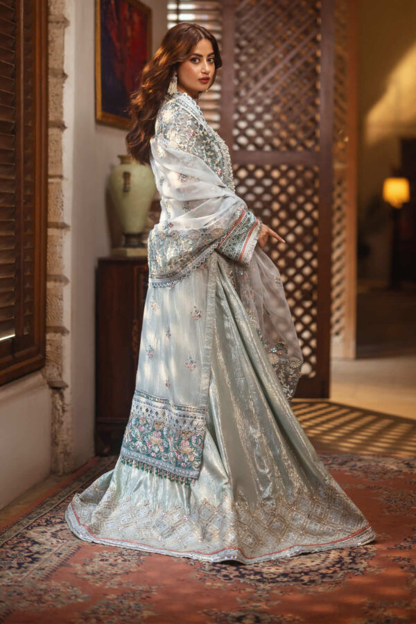 Serene Premium Sb-25 Inara Sajal Embroidered Organza