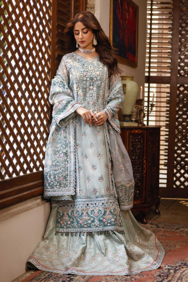 Serene Premium Sb-25 Inara Sajal Embroidered Organza