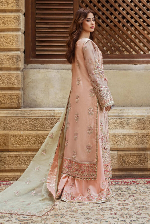 Serene Premium Sb-27 Zarqash Sajal Embroidered Organza