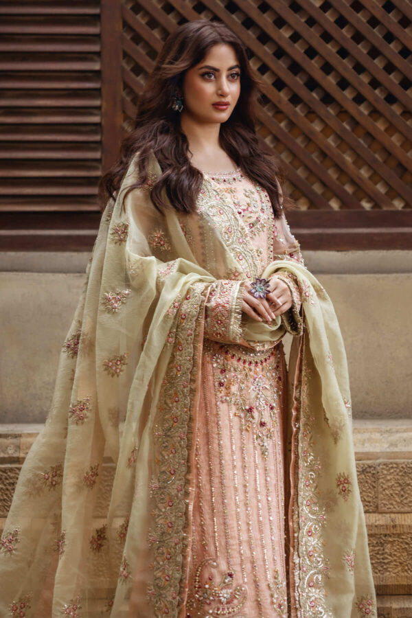 Serene Premium Sb-27 Zarqash Sajal Embroidered Organza