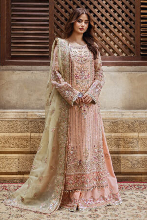 Serene Premium Sb-27 Zarqash Sajal Embroidered Organza