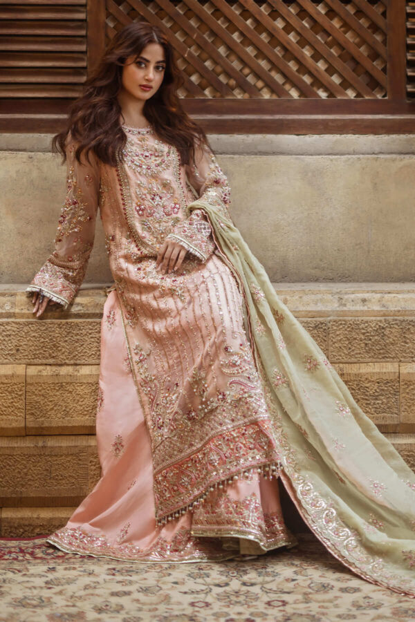 Serene Premium Sb-27 Zarqash Sajal Embroidered Organza