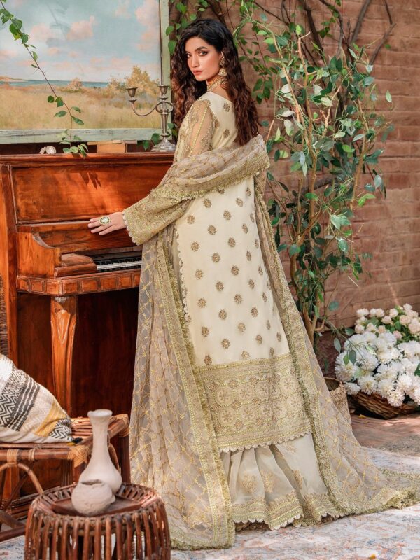 Akbar Aslam Mehrunisa Mastani Embroidered Net