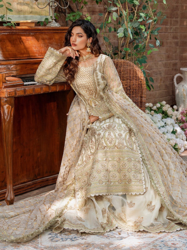 Akbar Aslam Mehrunisa Mastani Embroidered Net