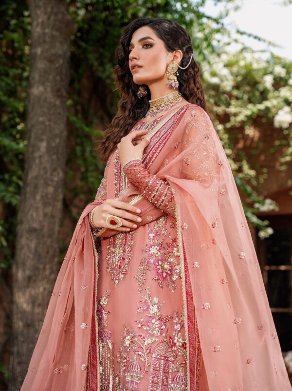 Akbar Aslam Mehrbano Mastani Embroidered Organza