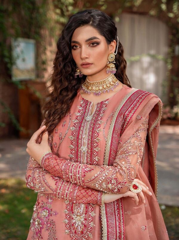 Akbar Aslam Mehrbano Mastani Embroidered Organza