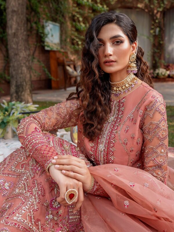 Akbar Aslam Mehrbano Mastani Embroidered Organza