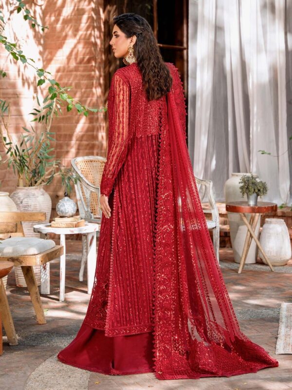 Akbar Aslam Gul Mohr Mastani Embroidered Net