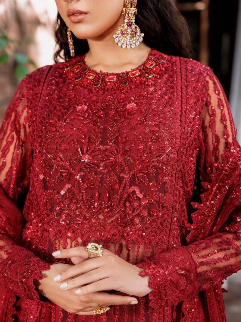 Akbar Aslam Gul Mohr Mastani Embroidered Net