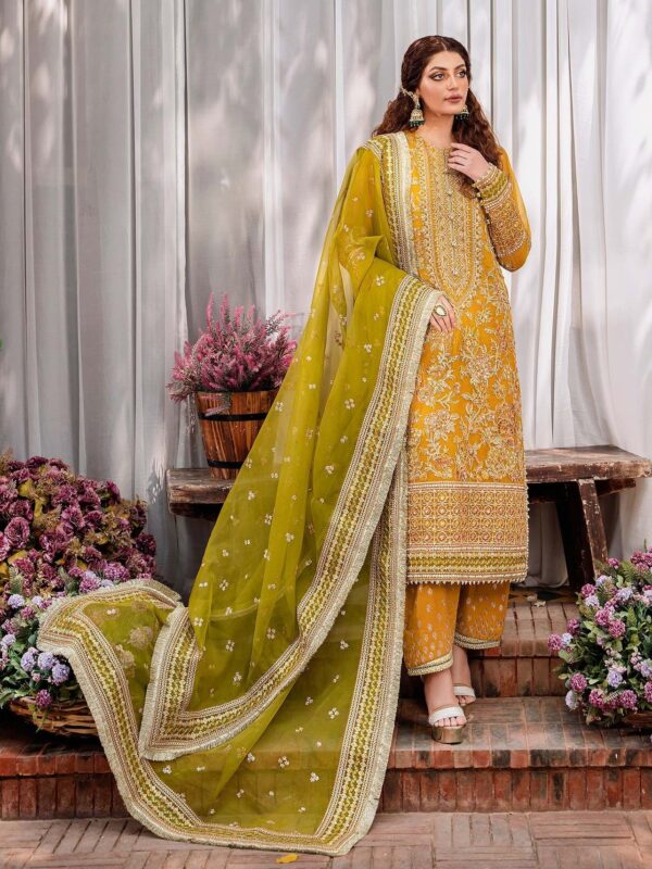 Akbar Aslam Rohi Mastani Embroidered Organza