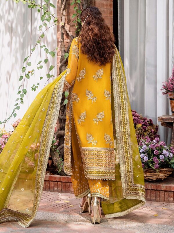 Akbar Aslam Rohi Mastani Embroidered Organza