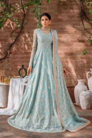 Akbar Aslam Jabeen Mastani Embroidered Net