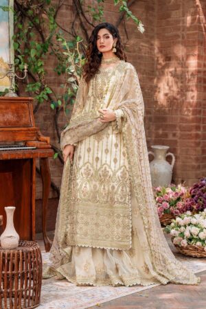 Akbar Aslam Mehrunisa Mastani Embroidered Net