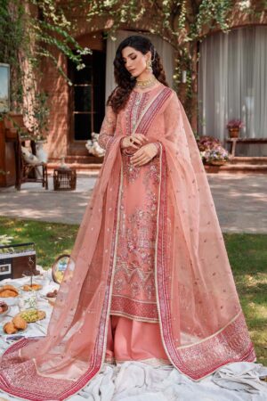 Akbar Aslam Mehrbano Mastani Embroidered Organza