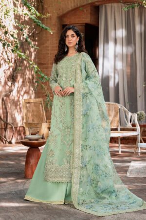 Akbar Aslam Riwayat Mastani Embroidered Organza