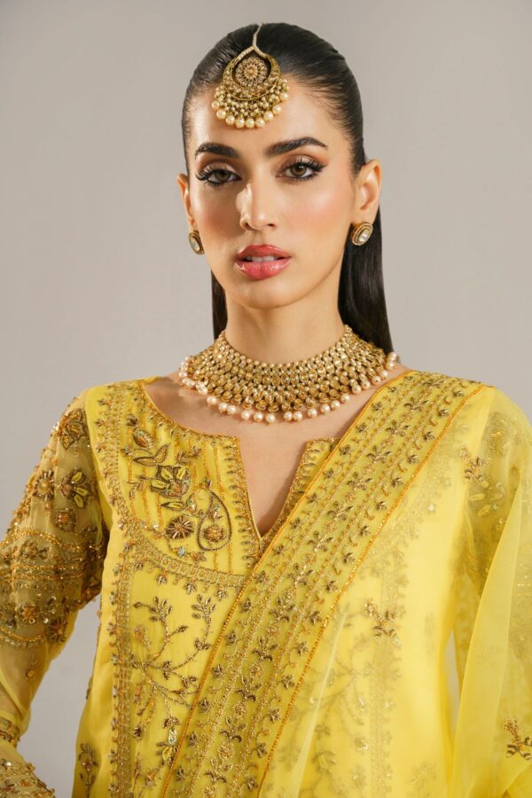 Akbar Aslam Hareem Afsana Embroidered Organza