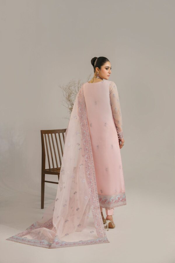 Akbar Aslam Niloufer Afsana Embroidered Organza