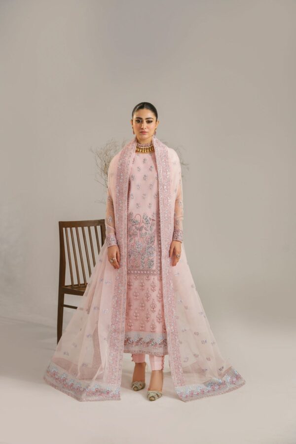 Akbar Aslam Niloufer Afsana Embroidered Organza