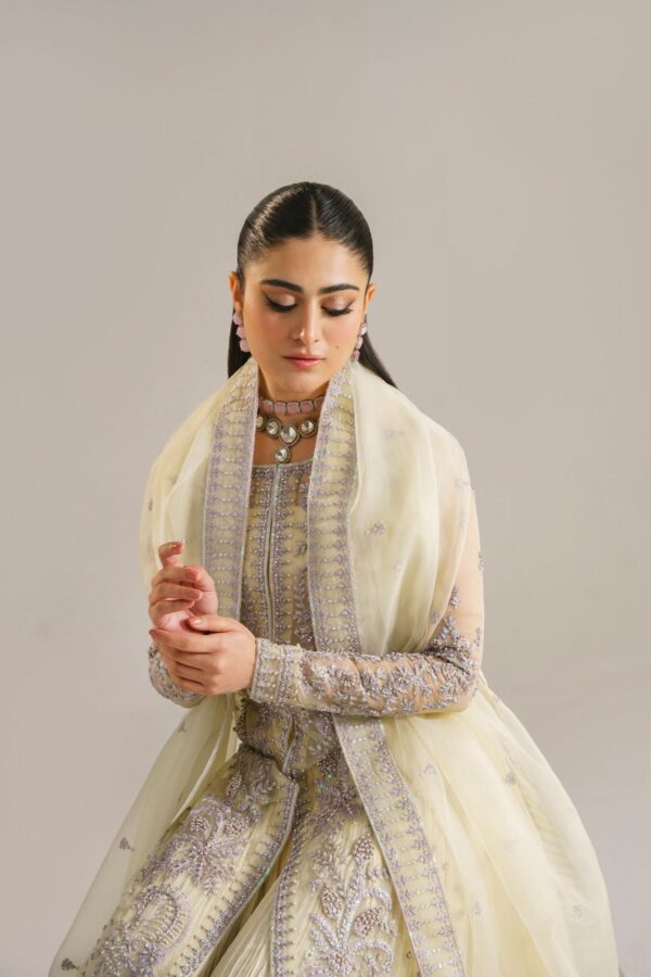 Akbar Aslam Gulbadan Afsana Embroidered Organza