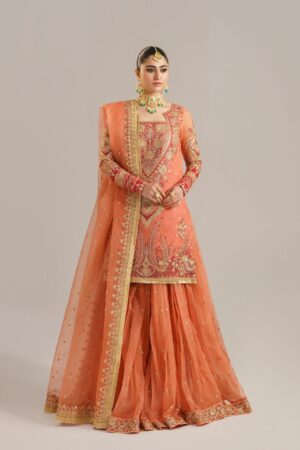 Akbar Aslam Begum Bano Afsana Embroidered Organza