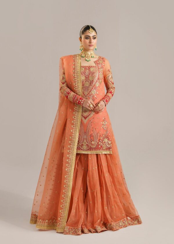 Akbar Aslam Begum Bano Afsana Embroidered Organza