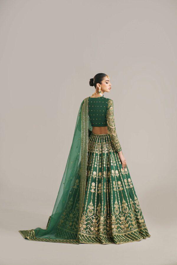 Akbar Aslam Shahul Afsana Embroidered Organza