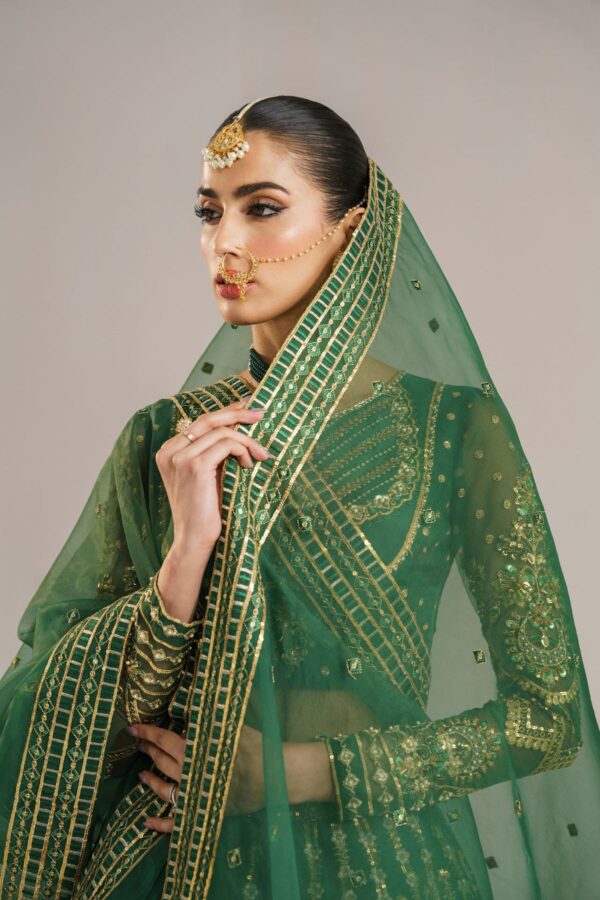 Akbar Aslam Shahul Afsana Embroidered Organza