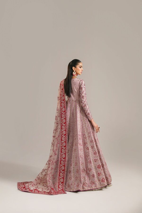 Akbar Aslam Farida Afsana Embroidered Organza