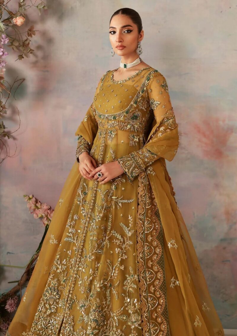 Akbar Aslam Sierra Formal Collection