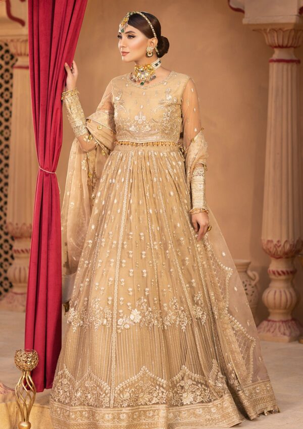 Neeshay Noor Formal Collection