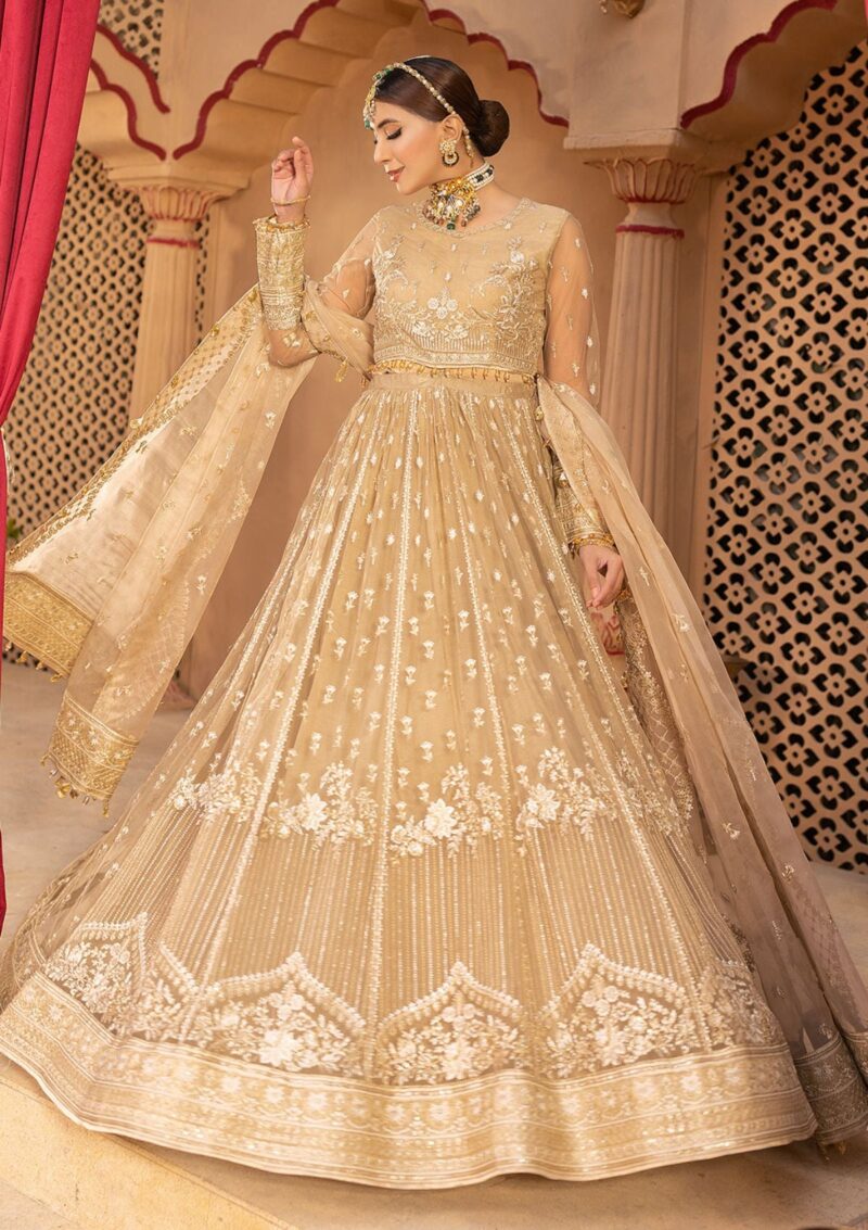 Neeshay Noor Formal Collection