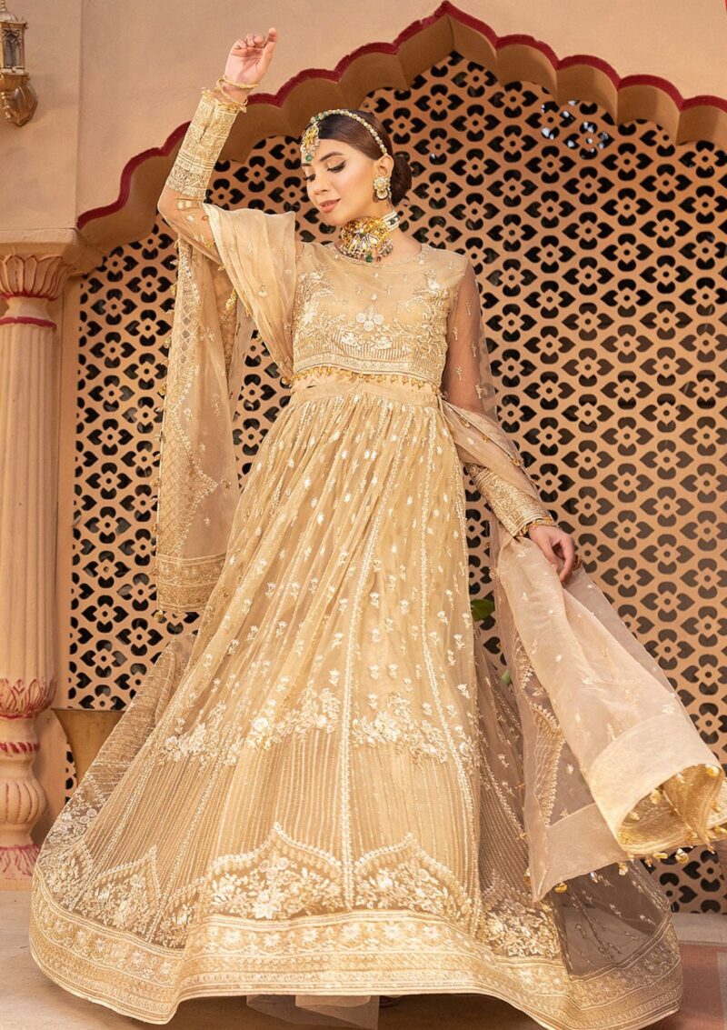 Neeshay Noor Formal Collection