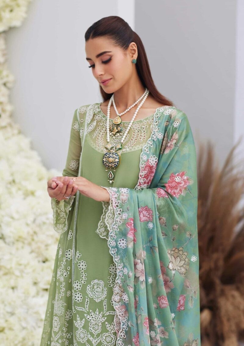 Mina Hasan Noura Formal Collection