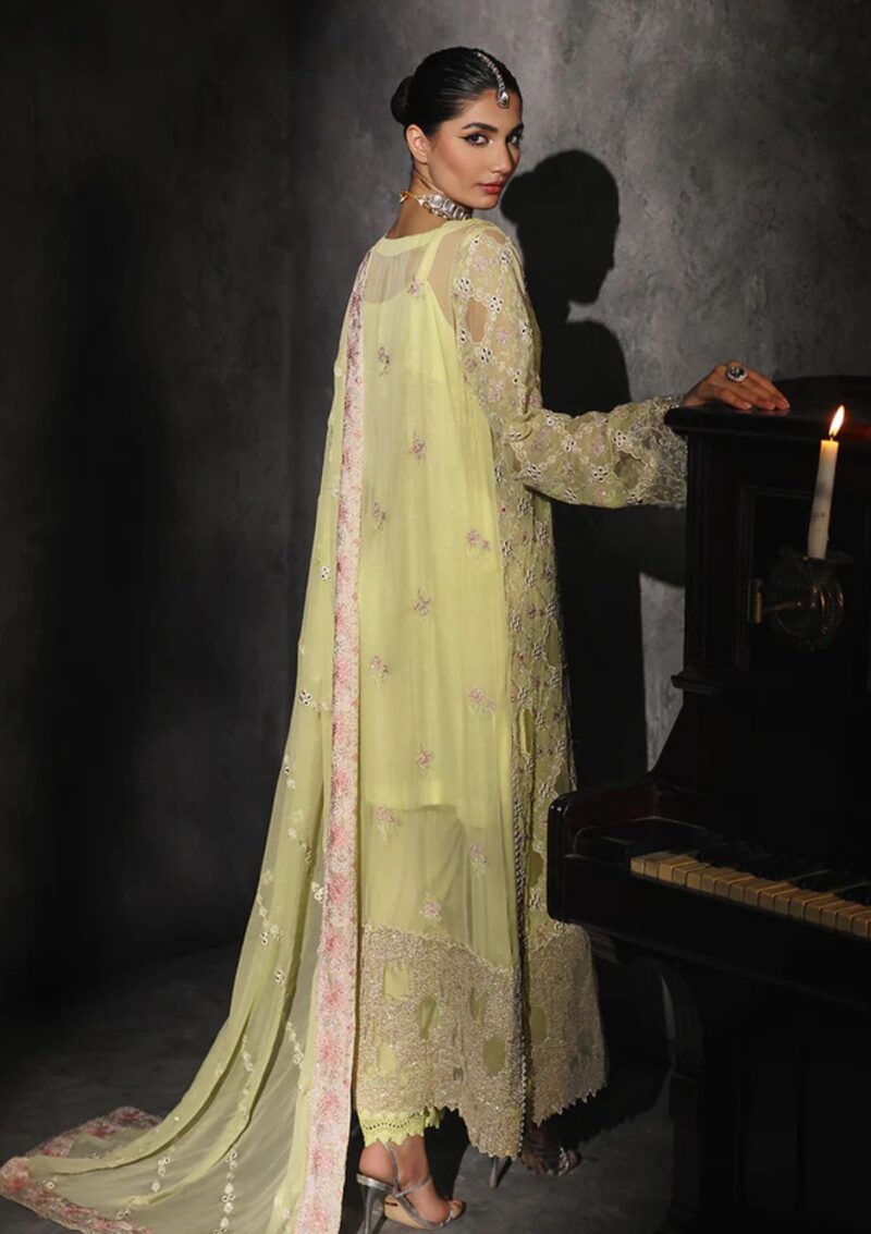 Raj Bari Art24 05 Ivy Formal Collection