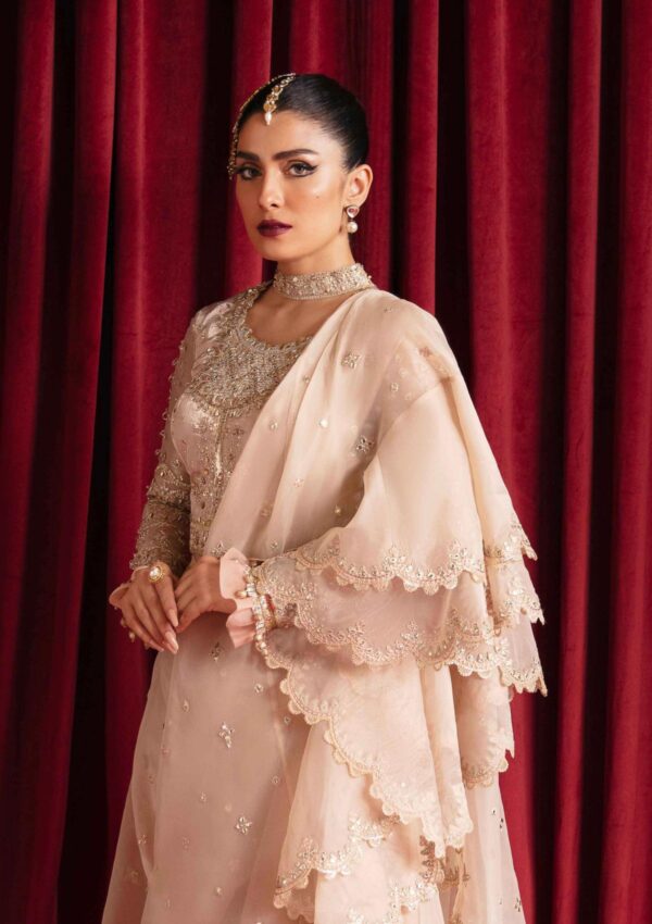 Qalamkar Reena Formal Collection