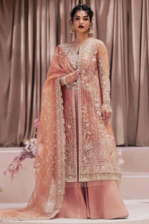 Zarposh Festive Barkha Formal Collection