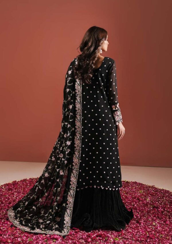 Zarqash Festive Chiffon Zq24 3A Formal Collection