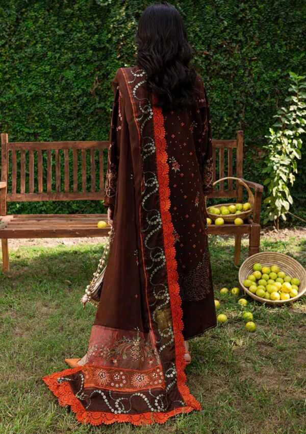 Marjjan Mrk 03 B Brown Winter Collection