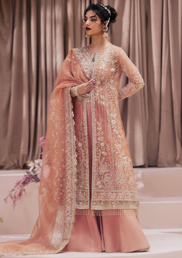 Zarposh Festive Barkha Formal Collection