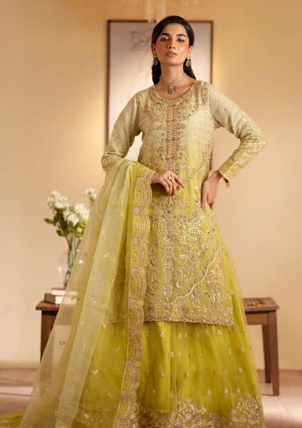 Emaan Adeel Sabian Formal Collection