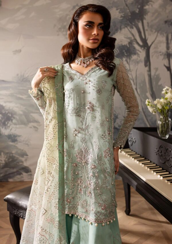 Nureh Unstitched 24 Ne 57 Formal Collection